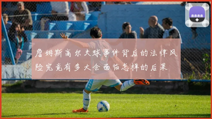 詹姆斯高尔夫球事件背后的法律风险究竟有多大会面临怎样的后果
